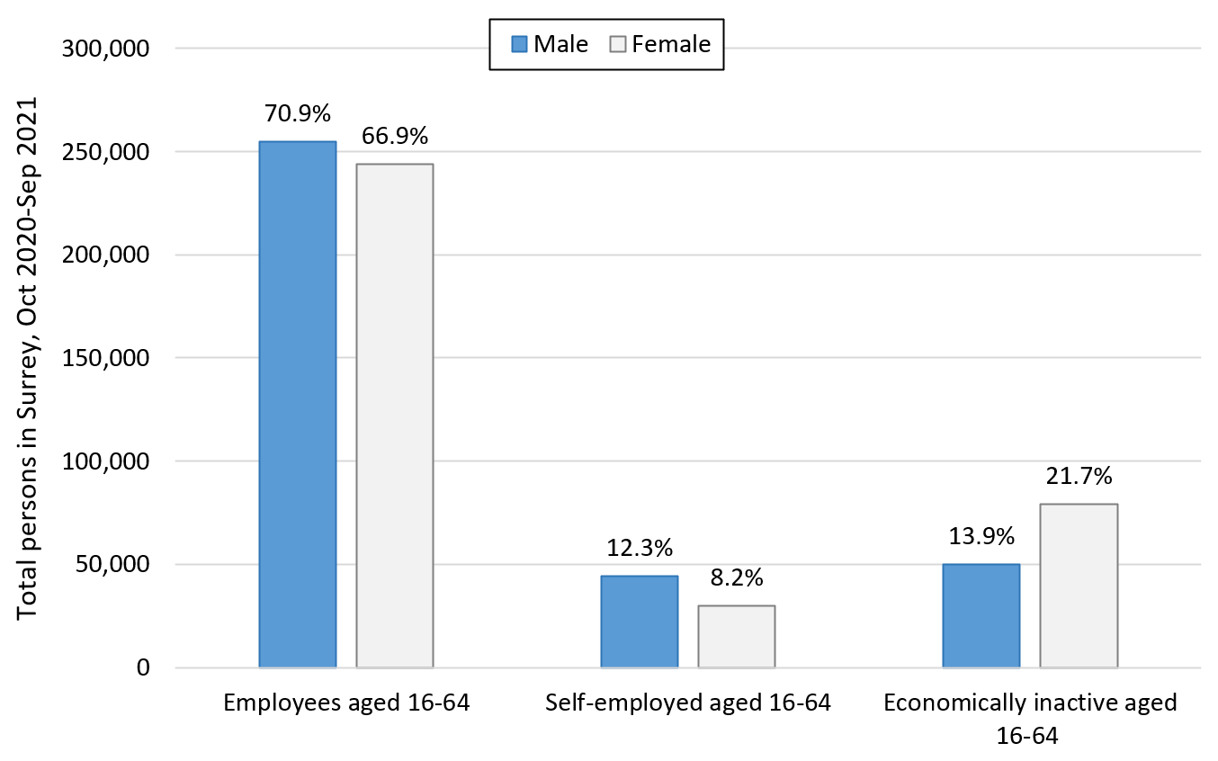 employment-in-surrey-statistics-about-jobs-and-employees-surrey-i